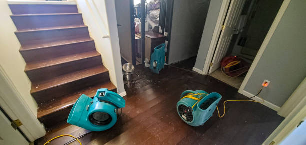 Best Ceiling water damage repair  in Morgantown, IN