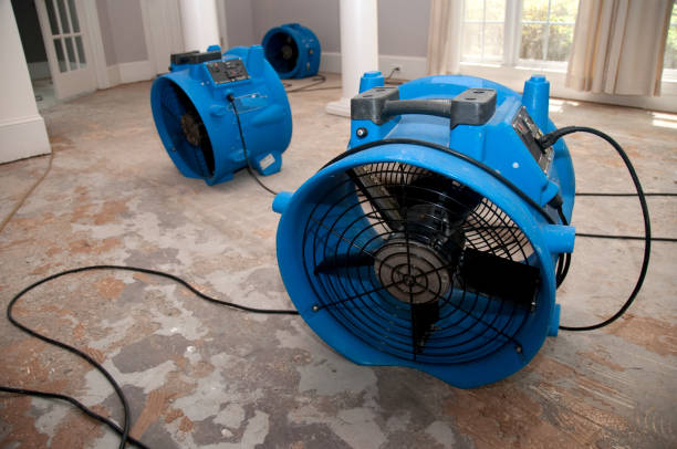 Best Water damage restoration insurance claims  in Morgantown, IN